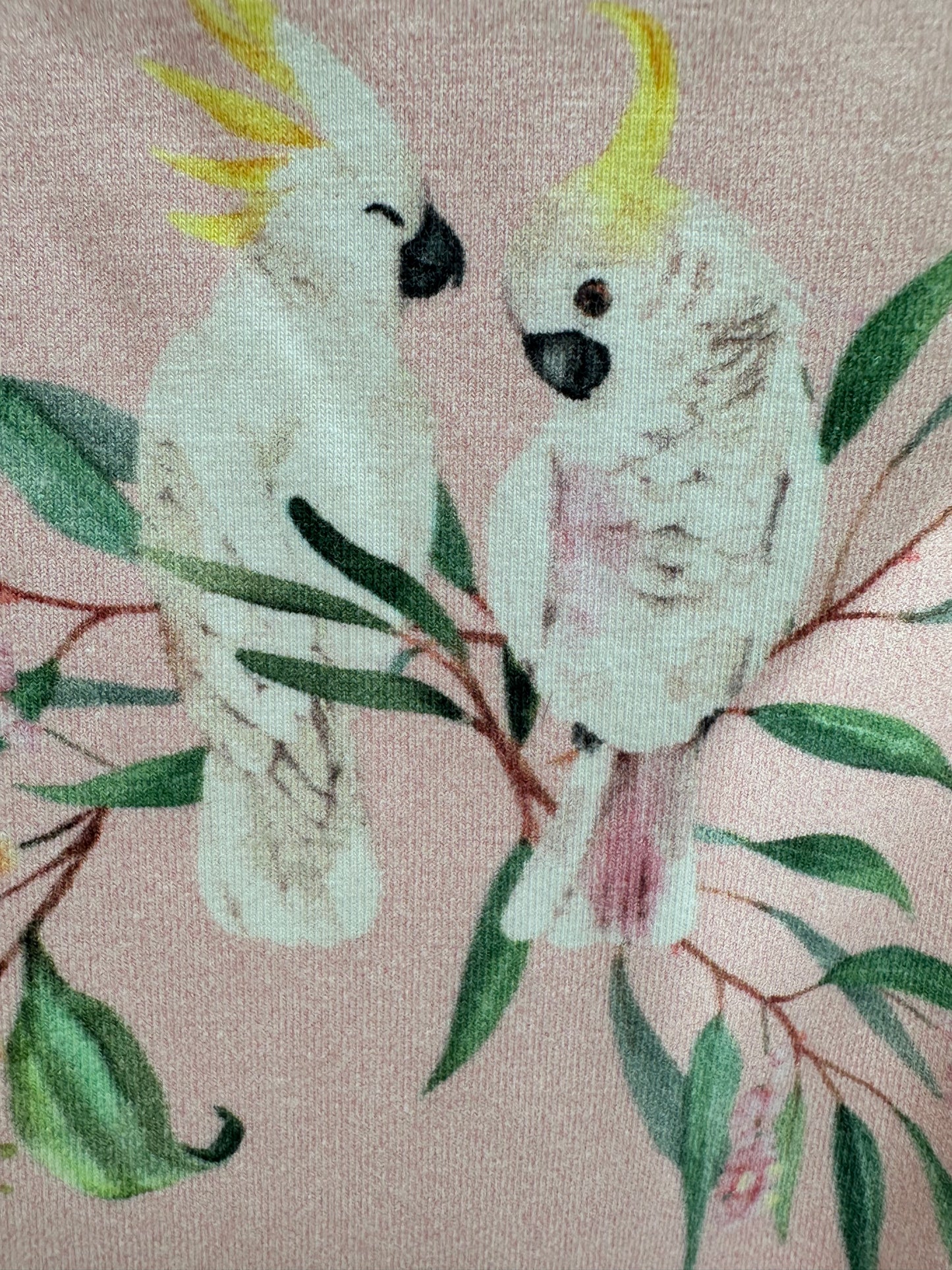 Pyjama by Snuggle Hunny - Size 1 month